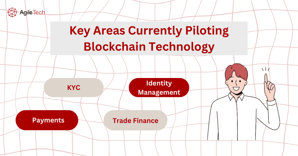 areas piloting blockchain 