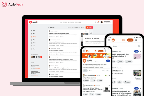 04. Reddit - Facebook Alternative